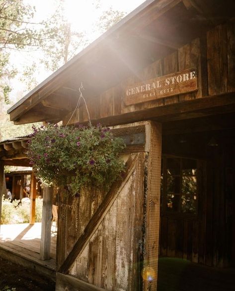 Sundance Mountain Resort on Instagram: "Come by the General Store while you're at Sundance and find something special to remember your trip. #SundanceResort #GeneralStore ⁠" Sundance Resort, General Store, Mountain Resort, Something Special, Plants, Instagram