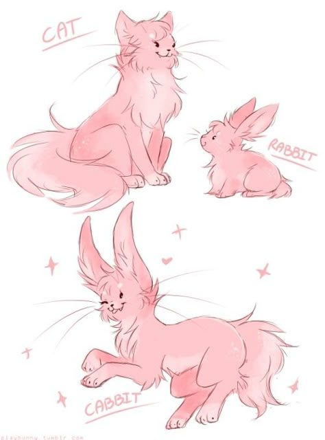 Cabbit Cat Rabbit Hybrid, Bunny Fox Hybrid, Dog Cat Hybrid Drawing, Bunny Cat Hybrid, Bunny Dragon Hybrid, Cat Hybrid Human, Animal People Hybrid Drawings, Cat Dog Hybrid, Cool Animal Drawings