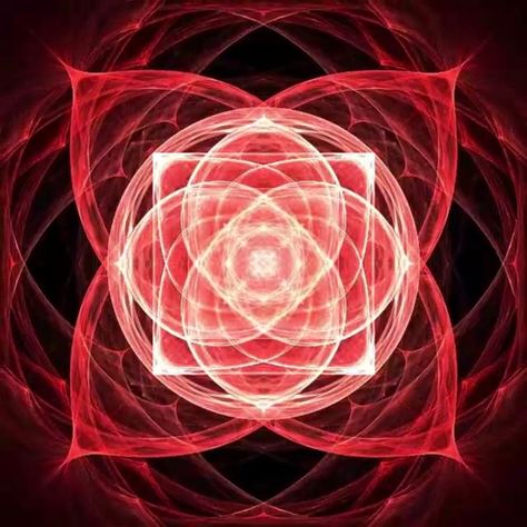 . First Chakra, The Root Chakra, Muladhara Chakra, Root Chakra Healing, Dream Guide, Base Chakra, Spirit Science, Sanskrit Words, Life Force Energy