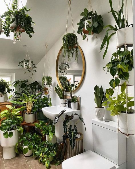 Take a look at @mervsjungle's bathroom. It's filled with a variety of plants, especially hanging ones, creating a peaceful escape. The greenery adds a refreshing and calm atmosphere, transforming the space into a mini oasis. With a few plant hangers and a love for greenery, you can create your own sanctuary. #MacramePlantHanger #MacrameLove #HomeDecorIdeas #BohoHomeDecor #ModernMacrame #ArtisanMade #CraftsmanShip #IndoorPlants #UrbanJungle #PlantParent #HousePlantCommunity #PlantStyling #Gre... Boho Bathroom Ideas, Indoor Plant Wall, Tropical Bathroom, Boho Bathroom Decor, Ivy Vine, Hanging Plant Wall, Bathroom Plants, Artificial Succulents, Boho Bathroom