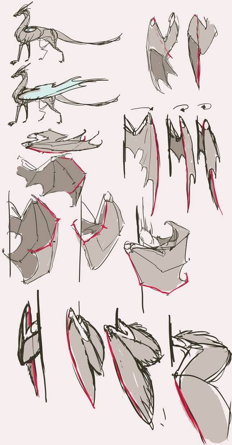 (folded)Wings reference part2 by Remarin on DeviantArt Wings Drawing Reference, Dragon Poses, Wings Drawing, Dragon Sketch, Creature Drawings, Dragon Wings, Dragon Artwork, Dragon Drawing, Creature Concept Art