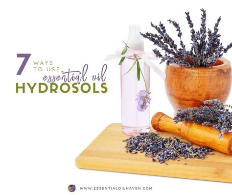 Hydrosols Guide (Floral Waters) Essential Oils For Mosquitoes, Repellent Diy, Lavender Hydrosol, Diy Bug Spray, Bug Spray Recipe, Essential Oil Brands, Diy Essential Oil Recipes, Stem Challenge, Bug Spray