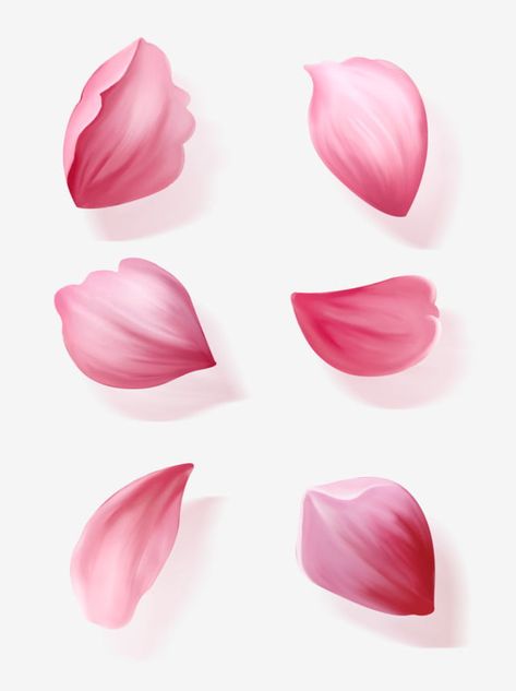 Flowers Petals Drawing, Rose Pedals Drawings, Rose Petal Drawing, Flower Petal Drawing, Rose Petals Drawing, Petals Drawing, New Tattoo Styles, Pink Flower Petals, 5 Petal Flower