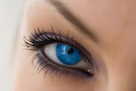 Makeup Ideas For Blue Eyes, Blue Eyes Aesthetic, Dark Blue Eyes, Eyeshadow For Blue Eyes, Bright Blue Eyes, Coloured Contact Lenses, Eye Makeup Ideas, Eye Pictures, Blue Contacts