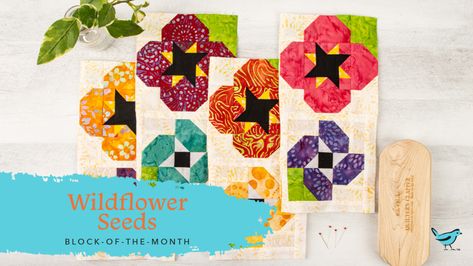 Summer Sewing, Block Of The Month, Visual Learners, Month Flowers, Wildflower Seeds, Quilt Kit, Riley Blake, Riley Blake Designs, Quilt Shop