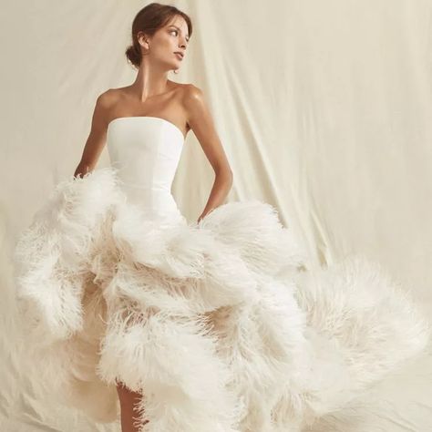 30 Best Feather Wedding Dresses of 2021 Wedding Dress Feathers, Dress Feathers, Wedding Dresses Spring, Wedding Dress With Feathers, Feather Gown, Nye Wedding, Couture Looks, Feather Wedding, Dresses Spring