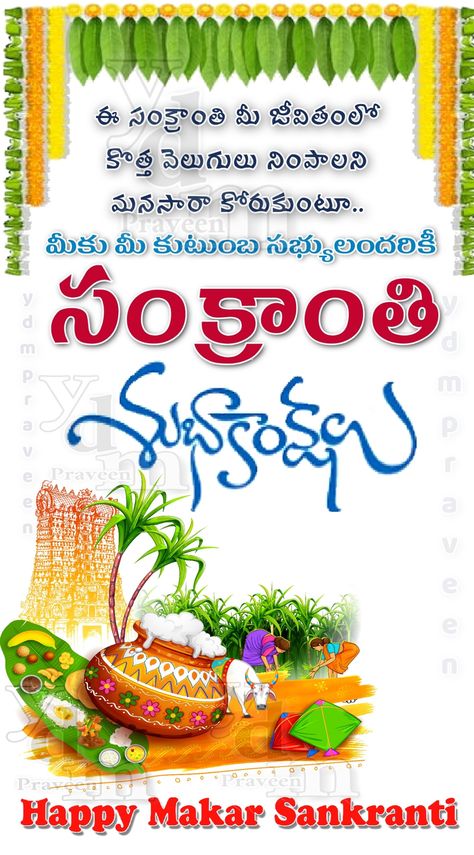 Sankranthi Wishes In Telugu, Sankranti Wishes In Telugu, Sankranti Wishes Images, Sankranthi Wishes, Sankranti Images, Happy Makar Sankranti Images, Herbalife Nutrition Facts, Makar Sankranti Image, Sankranti Wishes