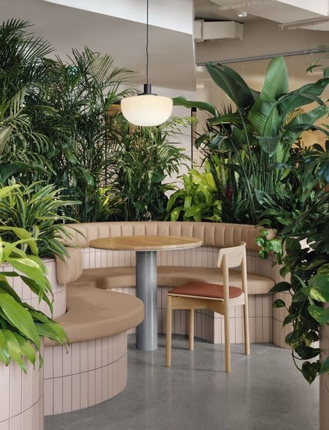 Banquette seating surrounded by greenery at Zendesk's Montreal office Work Cafe Design, Biophilia Office, Earth Office, Office Terrace, Traditional Desk, Booth Seating, Office Space Design, Space Photography, Scandi Design