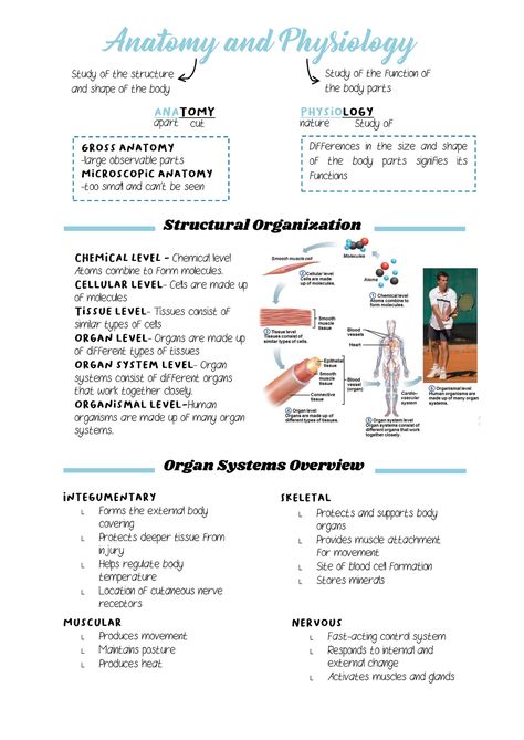 Nursing School Anatomy And Physiology, Introduction To Human Body Notes, Systems In The Body Human Anatomy, Anatomy And Physiology Notes Muscles, Nursing Anatomy Notes, Anatomy And Physiology Terminology, Anatomy And Physiology Bones Study, Best Way To Study Anatomy And Physiology, College Anatomy And Physiology