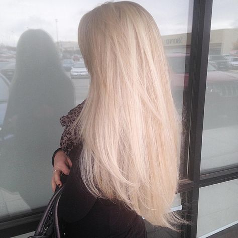 @alexandrahayes_hairdesign platinum blonde Thick Platinum Blonde Hair, Long Hair Platinum Blonde, Healthy Platinum Blonde Hair, Platunim Blonde Hair, Platinum Blonde Aesthetic, Long Platinum Hair, Blonde Platinum Hair, Long Platinum Blonde Hair, Pale Blonde Hair