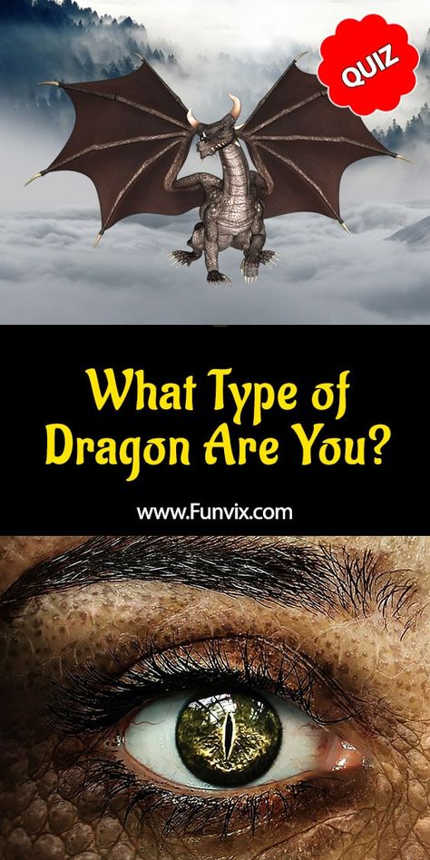 What Type of Dragon Are You?  Are you fearsome like an Amphiptere dragon, indestructible like Hydra, poisonous as a Wyvern, intelligent as a Drake, or cute as a Faerie dragon? It's time to find out. Take this personality quiz and find what type of dragon you are. #dragon #personalityquiz #quiz #quizzes #funvix What Is Your Dragon Name, Wyrvens Dragon, Dragon Oc Challenge, Httyd Quiz, What Mythical Creature Are You Quiz, Dragon Abilities, Dragons Types, House Of Dragon Dragons, Amphiptere Dragon