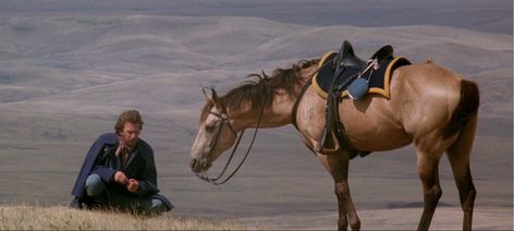 Man From Snowy River, Buckskin Horse, Beloved Movie, Dances With Wolves, Horse Names, Cowboys And Indians, Movie Shots, Film Grab, All About Horses