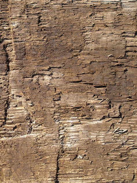 Weathered wooden board texture photo. Close-up of old rustic background - Picture. Texture #yurlick #shutterstock design for sale Rustic Texture, Wood Grain Aesthetic, Wood Texture Photoshop, Wood Grain Background, Rough Texture Seamless, Old Wood Texture, Natural Wood Texture, Rustic Background, East Lake