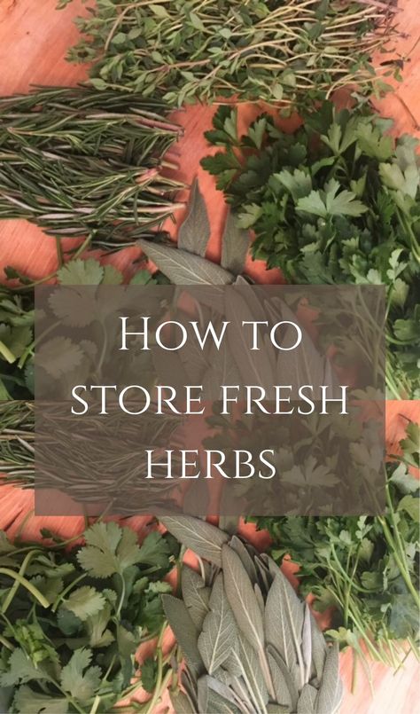 Whether you grow your own, come across a multi-buy offer at the supermarket, or simply just need a few sprigs at a time, storing fresh herbs can be quite tricky. Fresh Herbs Storage, Storing Fresh Basil, Storing Fresh Ginger, Storing Basil, Store Fresh Herbs, A Couple Cooks, How To Cook Liver, Herb Storage, Herb Gardening