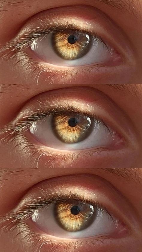 Gold Hazel Eyes, Bright Hazel Eyes, Rare Eye Colors Gold, Hazel Eyes In The Sun, Green Gold Eyes, Hazel Doe Eyes, Blue Eyes With Gold Flecks, Amber Green Eyes, Gold Brown Eyes