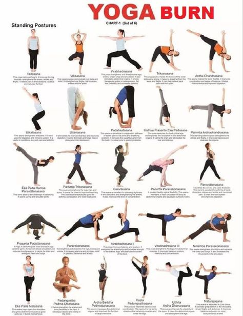 All Yoga exercises with the yoga burn manual, know a to z yoga posture with a personal trainer. Beginner Yoga Poses Chart, Yoga Chart, Yoga Poses Chart, Essential Yoga Poses, Fat Burning Yoga, Mental Fortitude, Yoga Poses Advanced, Yoga Burn, Advanced Yoga