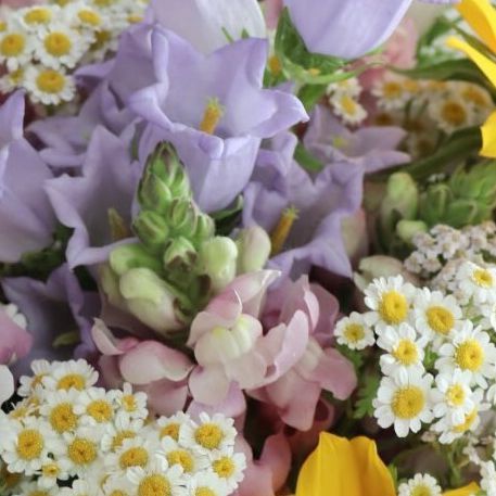 Jenna Meadows | Meadows Flower Farm on Instagram: "Favorite bouquet of the year! Garden grown goodies: Canterbury bells, feverfew, snapdragons, stock, yarrow, and sunflowers 😊 Here’s to a fresh new 2024 season bursting with blooms! #gardenbouquet #cottagegardenstyle #bouquetinspo #flowersfrommygarden #cutflowers #growflowers #bouquetofflowers #backyardgarden" Yarrow Bouquet, Canterbury Bells, Garden Bouquet, December 30, Flower Farm, Growing Flowers, Canterbury, Cut Flowers, Backyard Garden