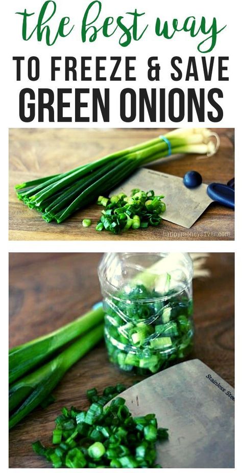 Solve smelly onion problems by freezing green onions in empty plastic bottles. Chop them up, add to the bottle, and freeze. Shake them out when needed! Freezing Peppers And Onions, How To Preserve Fresh Green Onions, Freeze Food Packaging, Freezing Garden Vegetables, Make Ahead Zucchini Recipes, Meals With Green Onions, Freezing Green Onions, How To Freeze Onions, Recipes Using Green Onions