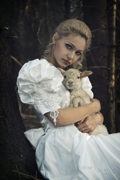 Lamb Photoshoot, Fox Drawing, Fairytale Princess, Cute Animals Puppies, Sheep Farm, Dream Studio, Summer Photoshoot, Realistic Paintings, Classical Art