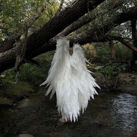 Angel Core, Angel Aesthetic, Divine Light, After Life, Fallen Angel, White Aesthetic, An Angel, In The Woods, Pose Reference