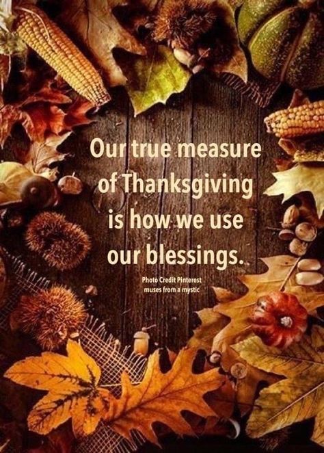 Blessed Pictures, Happy Thanksgiving Pictures, Calendar Quotes, Week Quotes, Thanksgiving Messages, Thanksgiving Prayer, Thanksgiving Pictures, Thanksgiving Blessings, Thanksgiving Wishes