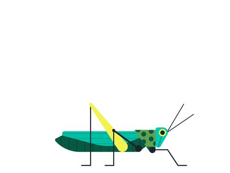 Grasshopper - Owen Davey Illustration Simple Grasshopper Drawing, Drawing Of Grasshopper, Grasshopper Illustration, Cute Grasshopper, Grasshopper Pattern, Vintage Grasshopper Illustration, Owen Davey, Swamp Creature, Motion Graphics Inspiration