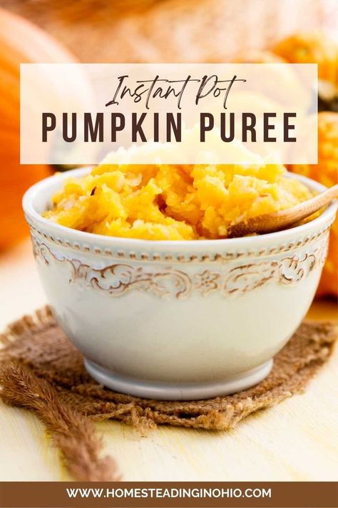 How to make pumpkin puree the easy way. Instant Pot pumpkin puree is very easy to make with just a pie pumpkin and water. Learn how to cook pumpkin in Instant Pot and how to make pumpkin puree without oven. Make Instant Pot whole pumpkin to turn into puree for pies, breads, and more. Instant Pot pumpkin puree whole pumpkin is cheap and easy to do. Make pumpkin puree from scratch in a pressure cooker. Pumpkin In Instant Pot, Sugar Pumpkin Pie Recipe, Slow Cooker Pumpkin Soup, Make Pumpkin Puree, Cook Pumpkin, Whole Pumpkin, Instant Pot Pumpkin, Homestead Cooking, Pumpkin Crockpot