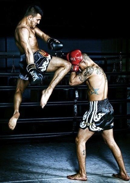 Boxe Thai, Kyokushin Karate, Ufc Fighters, Mma Boxing, Martial Arts Workout, Krav Maga, Martial Artists, Wing Chun, Mma Fighters