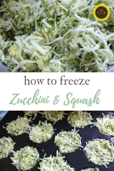 Freezing shredded zucchini Freeze Shredded Zucchini, Preserve Zucchini, How To Freeze Zucchini, Zucchini And Summer Squash, Zucchini Pizza Crust, Cooking Cheat Sheet, Zucchini And Squash, Freezing Zucchini, Freezing Vegetables