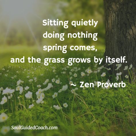 Zen Proverb #quotes #spirituality #selfawareness #nonduality #happiness #consciousness Zen Thoughts, Zen Quotes Funny, Zen Phrases Quotes, Zen Proverbs Quotes, Empty Quotes, Zen Stories Wisdom, Zen Proverbs, J Krishnamurti Quotes, Spiritual Freedom