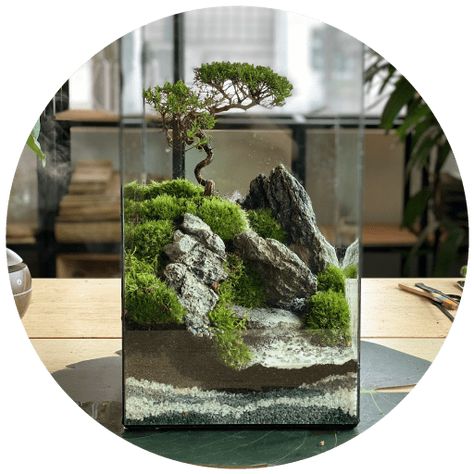 Home - Mossarium Concept Design Terrarium Bonsai Ideas, Terrarium House Ideas, Terrarium In Fish Tank, Terrarium Ideas Unique, Terrarium Landscape, Landscape Terrarium, Terrarium Bonsai, Closed Terrarium Plants, Terrarium Design