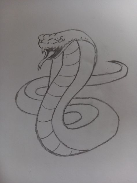 Cute Cobra Drawing, Simple Easy Sketches, Cobra Sketch, Snake Drawing Sketches, Snake Sketches, Cobra Drawing, Snake Drawings, Easy Pen Drawing, Snake Doodle