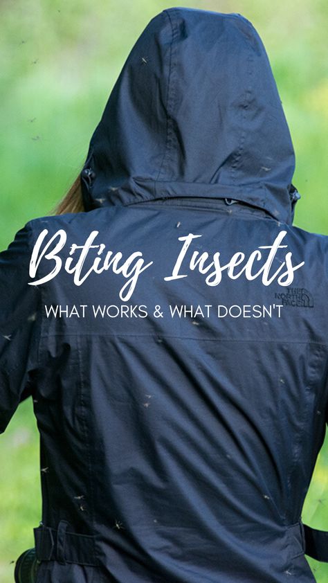 There’s a lot of conflicting advice about warding off biting insects. We’ll try almost anything to avoid being a meal, but what actually works? And, what can we learn about biting insects that helps us avoid them?  In North America, mosquitoes, black flies, deer flies, horse flies, and stable flies are our common attackers. Each one responds differently to repellents and our attempts to cover up: Horse Fly Repellent For People, Deer Fly Repellent, Black Fly Repellant Diy, Horsefly Repellent, Horse Fly Repellent, Black Fly Bites, Fly Repellant Diy, Deer Flies, Repellent Diy