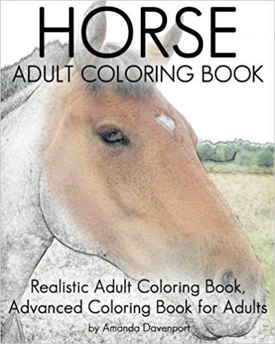 Realistic Animal Coloring Pages, Horses Coloring, Horse Coloring Books, Creative Haven Coloring Books, Anatomy Coloring Book, Horse Anatomy, Horse Coloring Pages, Horse Illustration, Adult Coloring Book Pages