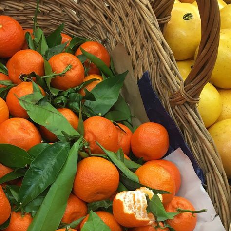 Food Bakery, Orange Aesthetic, Oranges And Lemons, Italian Summer, Pretty Food, On Display, Aesthetic Food, Food Truck, Good Eats