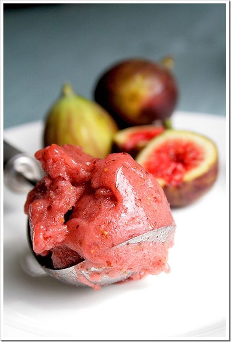 Fresh Fig Sorbet Fig Gelato, Christian Food, Gelato Ice Cream, Fig Trees, Fig Recipes, Ice Cream Gelato, Sorbet Recipes, Ice Cream Sorbet, Fresh Figs