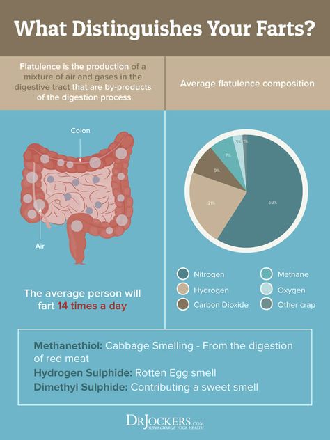 8 Ways to Reduce Gas and Farting for Good - DrJockers.com Getting Rid Of Gas, Fruit Smoothie Recipes Healthy, Gas Relief, Reduce Gas, Digestion Process, School Communication, Creating A Newsletter, Organic Health, Simple Doodles