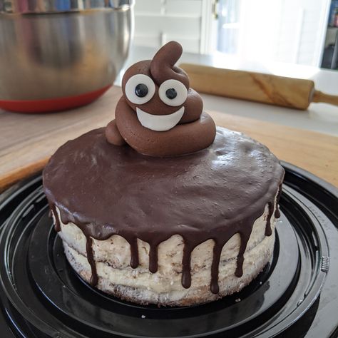 Potty Cake Design, Poop Cake Birthdays, Potty Cake, Poo Cake, Potty Party, Poop Cake, Donut Gifts, 50th Cake, Funny Birthday Cakes