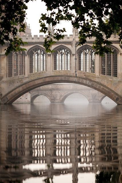 Cambridge University, England And Scotland, A Bridge, Covered Bridges, Pretty Places, Oh The Places Youll Go, Places Around The World, Beautiful World, Travel Dreams