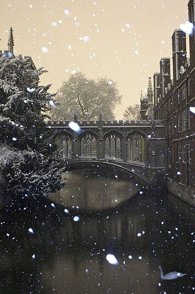 Cambridge, England Snow Falling, Cambridge England, Between Two Worlds, Creative Photography Techniques, Cambridge University, London Calling, Beautiful Place, Oh The Places Youll Go, Beautiful World