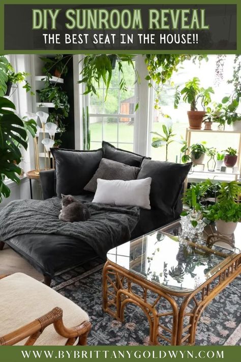 Rattan Furniture In Sunroom, Black And Green Sunroom, Sunroom Black Ceiling, River House Decorating Ideas Living Room, Vintage Sunroom Ideas, Victorian Jungle Room, Sunroom Nook, Sunroom Plants Decor, Sunroom Daybed