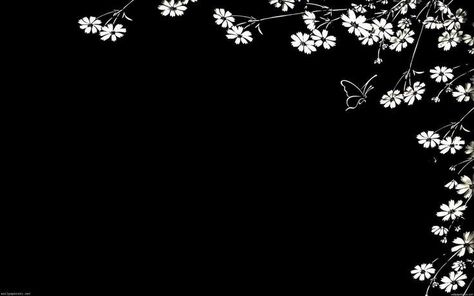 Cover For Twitter, Black And White Pc, Laptop Wallpaper Cute, Black Desktop Background, Desktop Wallpaper Black, Pc Desktop Wallpaper, 1366x768 Wallpaper Hd, Cute Laptop, Pc Wallpapers