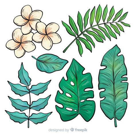 Tropical Rainforest Drawing, Rainforest Drawing, Leaf Drawing Easy, Stencil Flowers, Png Brush, Surfboard Painting, Tropical Leaves And Flowers, Theme Carnaval, Hawaiian Leaf