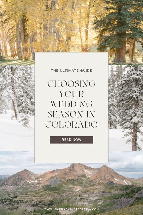 Read this blog to get the ultimate guide on knowing when the best time to get married in Colorado is. Rocky Mountain Wedding Colorado, Colorado Summer Wedding, Colorado Fall Wedding, Colorado Winter Wedding, Elopement Tips, Colorado Destination Wedding, Colorado Wedding Elopement, Wedding In Colorado, Colorado Fall