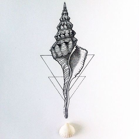 Shell Tattoo, Seashell Tattoos, Magic Shell, Shell Tattoos, Kunst Tattoos, Ocean Tattoos, Sternum Tattoo, 1 Tattoo, Mandala Tattoo