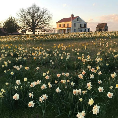 Southern Aesthetic, Farm Aesthetic, Summer Moodboard, Big Farm, Future Farms, Cottage Aesthetic, Architecture Model Making, Countryside House, Old Farm Houses