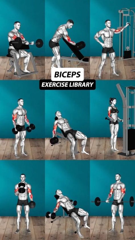 FITNESS KEY9 | ✅ Workout for Chest💪💪💯 #workout #gym #gymlifestyle #gymmotivation #workhard | Instagram Biceps Workout At Gym, Biceps And Forearm Workout, Chest Workout Gym, Workout For Chest, Exercise Aesthetic, Upper Body Workout Gym, Bicep And Tricep Workout, Chest Workout Routine, Workout Gym Routine