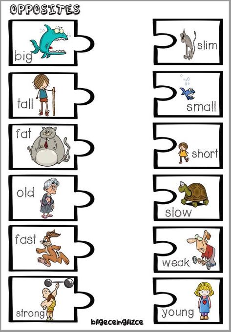 Opposites Preschool, English Primary School, Grammar For Kids, English Activities For Kids, Opposite Words, Worksheet For Kids, Learning English For Kids, English Worksheets For Kids, Kids English