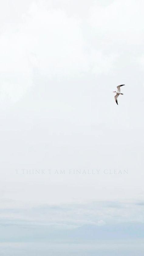 Taylor Swift 1989 Seagulls Wallpaper, 1989 Seagulls Wallpaper, 1989 Taylor Swift Background, Clean Taylor Swift Aesthetic, Clean Taylor Swift Wallpaper, Swiftie Background, Fearless Background, 1989 Homescreen, 1989 Aesthetic Wallpaper