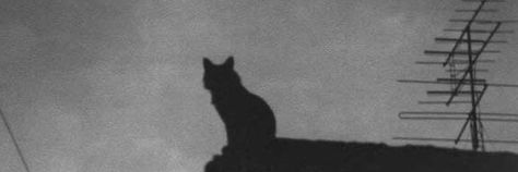 Tarot Header Twitter, Black Cat Discord Banner, Gray Banner Aesthetic, Grey Banner Aesthetic, Black And Grey Header, Dark Gray Header, Black Cat Header, Grey Aesthetic Banner, Gray Aesthetic Header